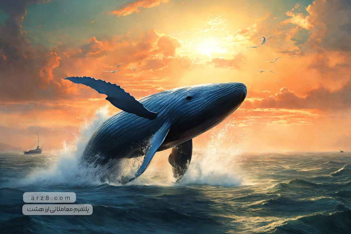 سایت نهنگ های بیت کوین