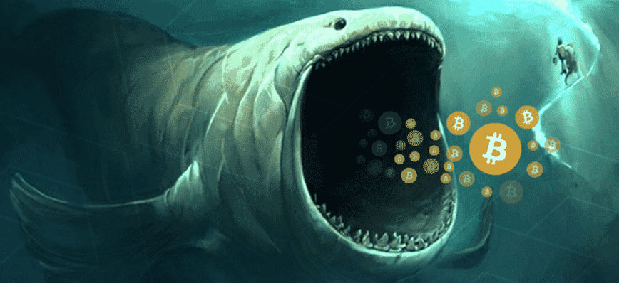 روش معامله نهنگ‌ها در بازار ارز دیجیتال – تحلیلی جامع و کاربردی